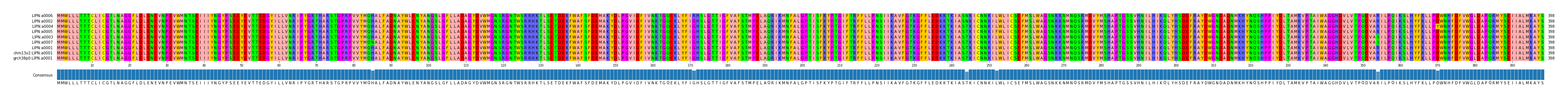 Multiple Alignments (by translate haplotype similarity)