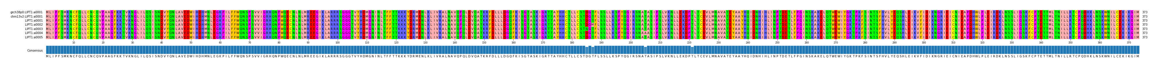 Multiple Alignments (by translate haplotype frequency)