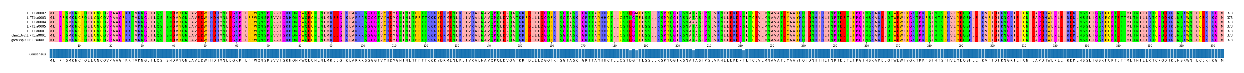 Multiple Alignments (by translate haplotype similarity)