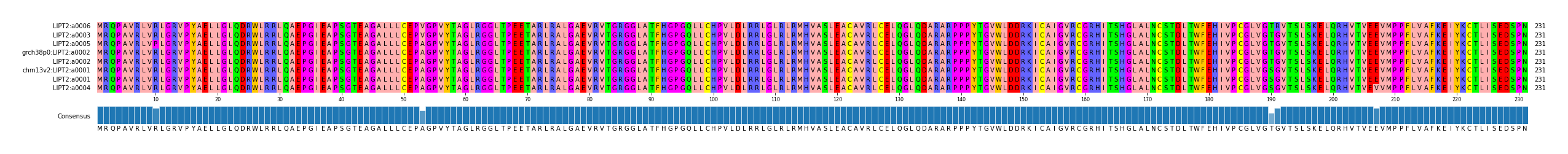 Multiple Alignments (by translate haplotype similarity)