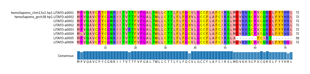 Multiple Alignments (by translate haplotype frequency)