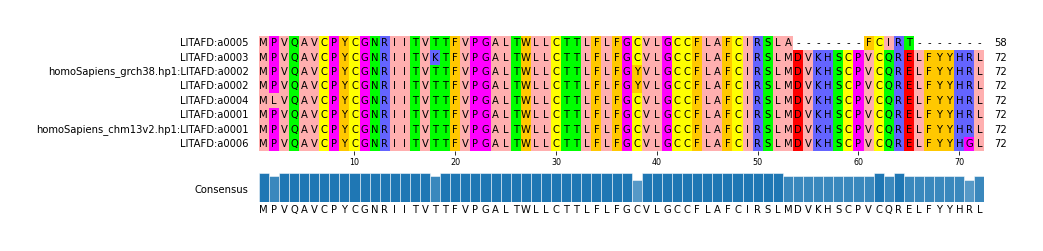 Multiple Alignments (by translate haplotype similarity)