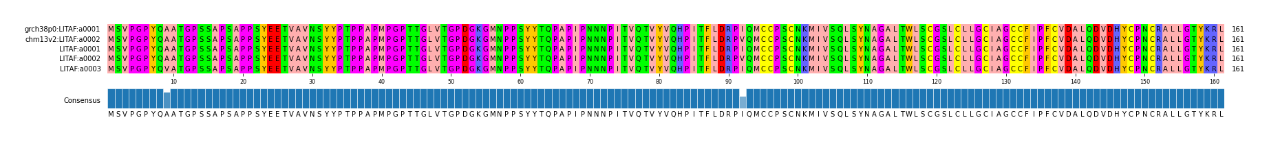 Multiple Alignments (by translate haplotype frequency)
