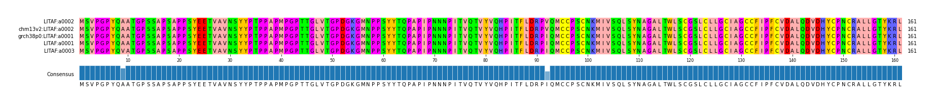 Multiple Alignments (by translate haplotype similarity)