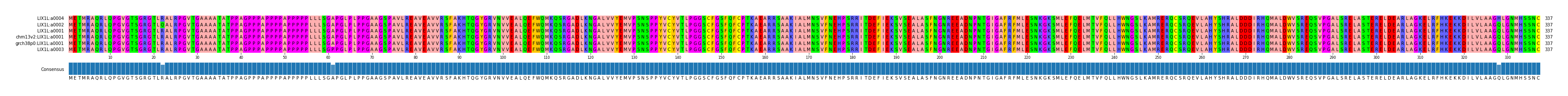 Multiple Alignments (by translate haplotype similarity)