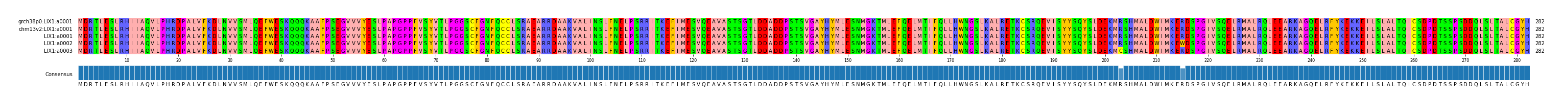 Multiple Alignments (by translate haplotype frequency)