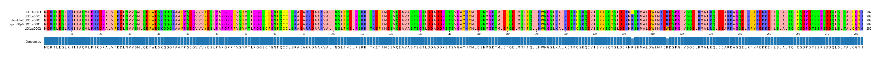Multiple Alignments (by translate haplotype similarity)