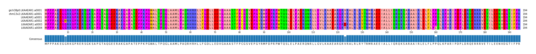 Multiple Alignments (by translate haplotype frequency)