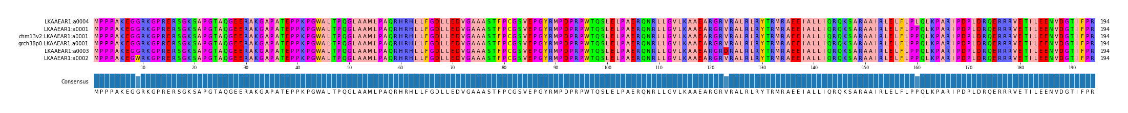 Multiple Alignments (by translate haplotype similarity)