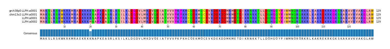 Multiple Alignments (by translate haplotype similarity)
