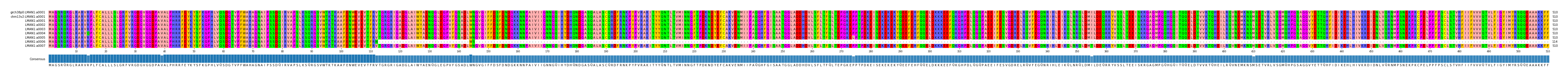 Multiple Alignments (by translate haplotype frequency)