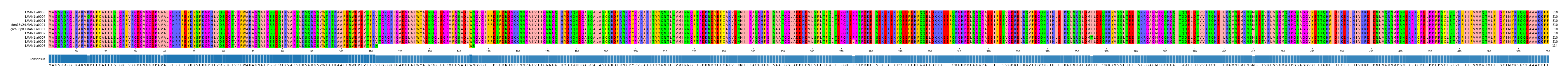Multiple Alignments (by translate haplotype similarity)