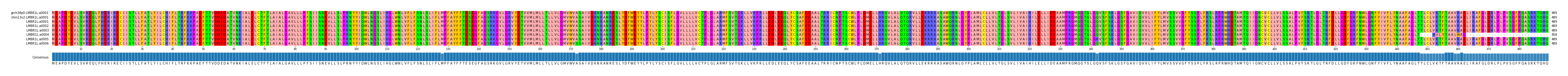 Multiple Alignments (by translate haplotype frequency)