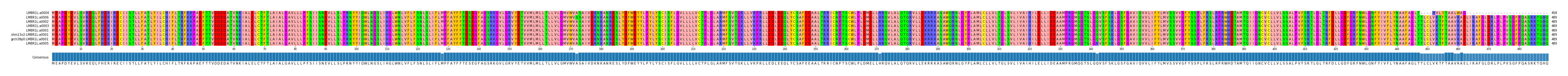 Multiple Alignments (by translate haplotype similarity)