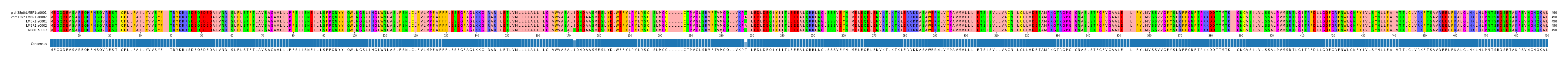 Multiple Alignments (by translate haplotype frequency)