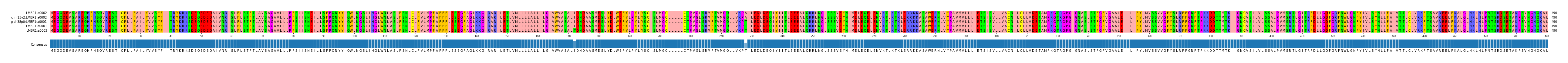 Multiple Alignments (by translate haplotype similarity)