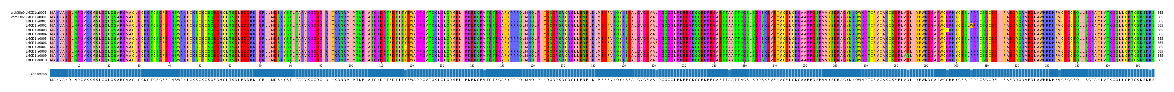 Multiple Alignments (by translate haplotype frequency)