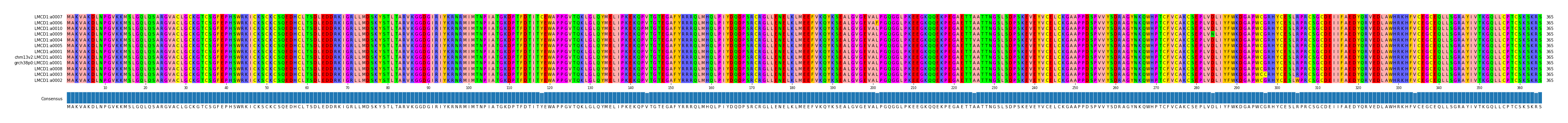 Multiple Alignments (by translate haplotype similarity)