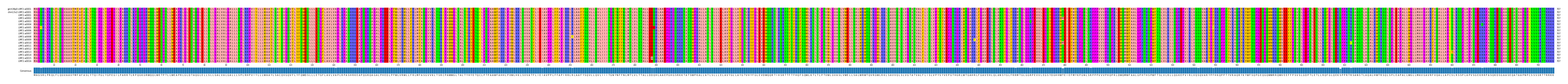 Multiple Alignments (by translate haplotype frequency)