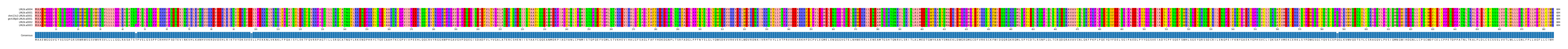 Multiple Alignments (by translate haplotype similarity)