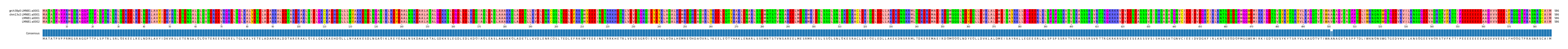 Multiple Alignments (by translate haplotype similarity)