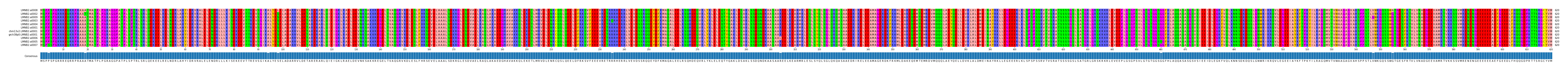 Multiple Alignments (by translate haplotype similarity)