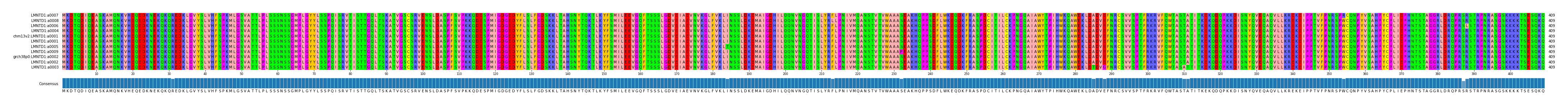 Multiple Alignments (by translate haplotype similarity)
