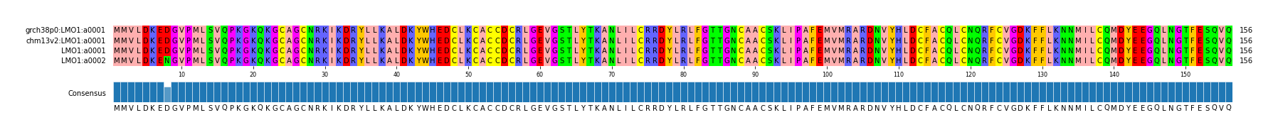 Multiple Alignments (by translate haplotype similarity)