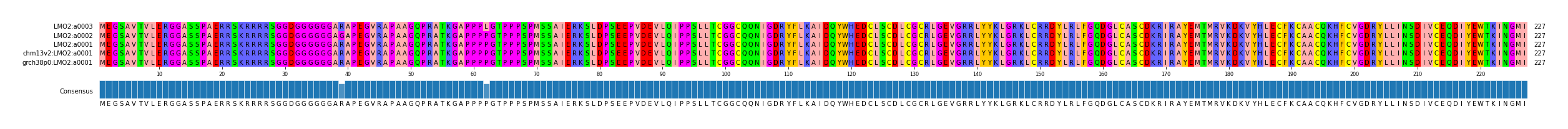 Multiple Alignments (by translate haplotype similarity)