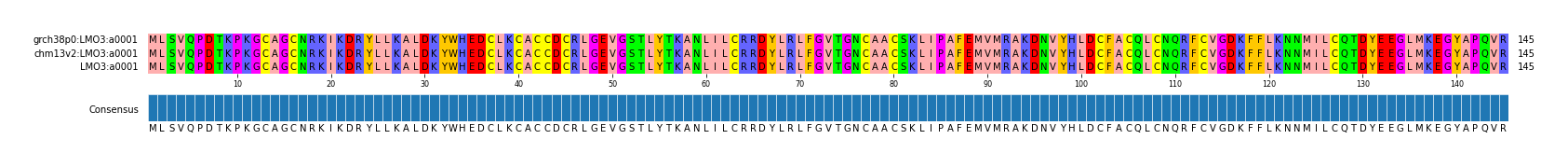 Multiple Alignments (by translate haplotype similarity)