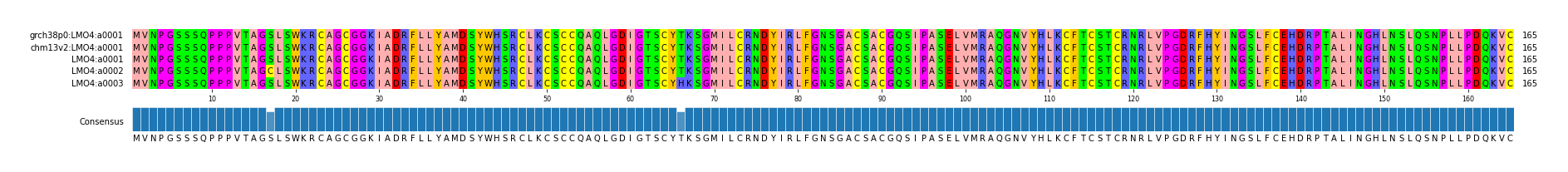 Multiple Alignments (by translate haplotype frequency)