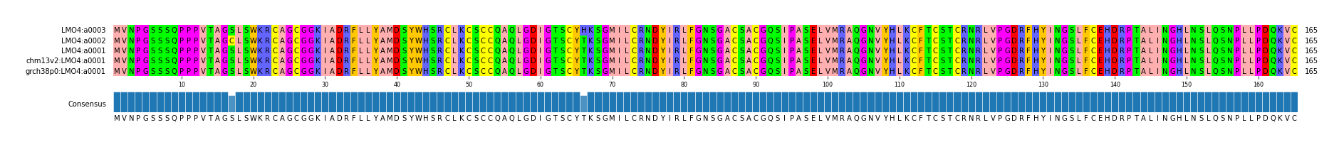 Multiple Alignments (by translate haplotype similarity)