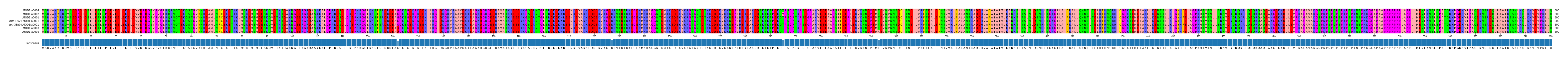 Multiple Alignments (by translate haplotype similarity)
