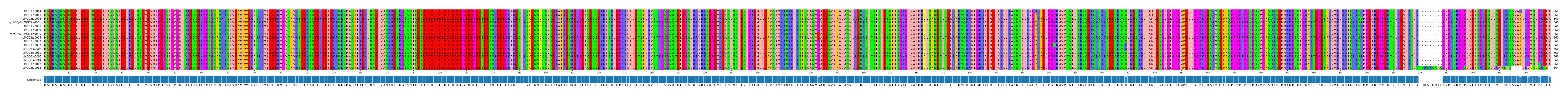 Multiple Alignments (by translate haplotype similarity)
