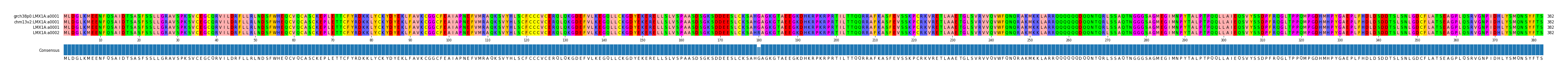 Multiple Alignments (by translate haplotype similarity)