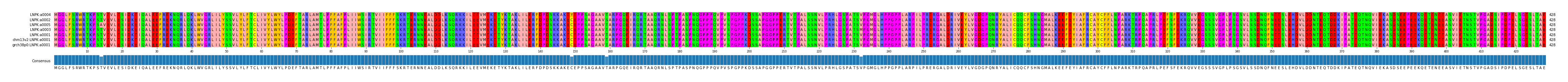 Multiple Alignments (by translate haplotype similarity)