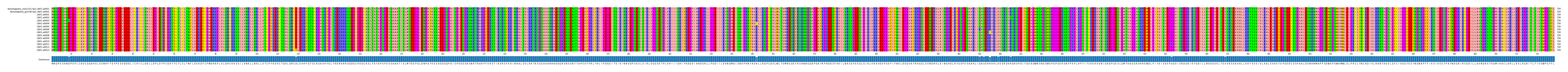 Multiple Alignments (by translate haplotype frequency)
