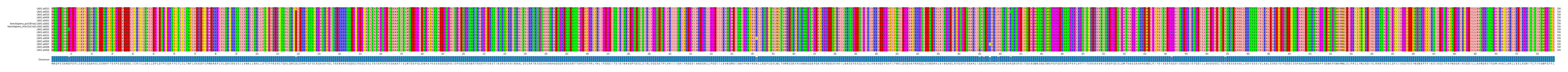 Multiple Alignments (by translate haplotype similarity)