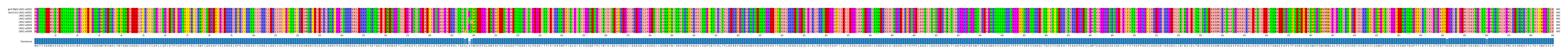 Multiple Alignments (by translate haplotype frequency)