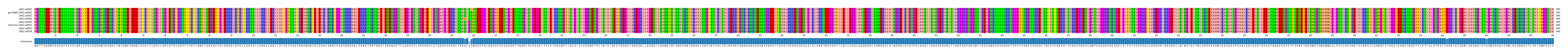 Multiple Alignments (by translate haplotype similarity)