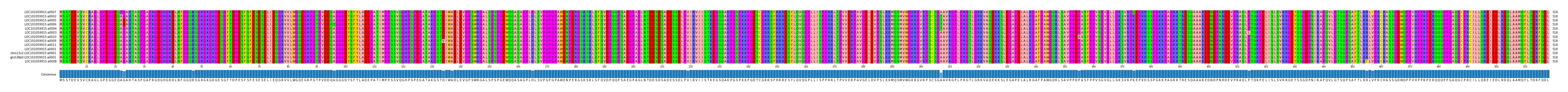 Multiple Alignments (by translate haplotype similarity)