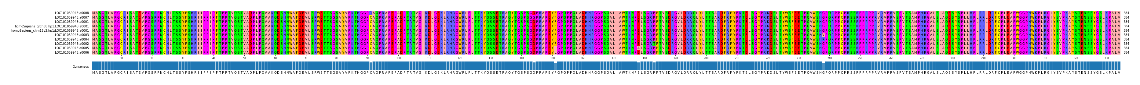 Multiple Alignments (by translate haplotype similarity)