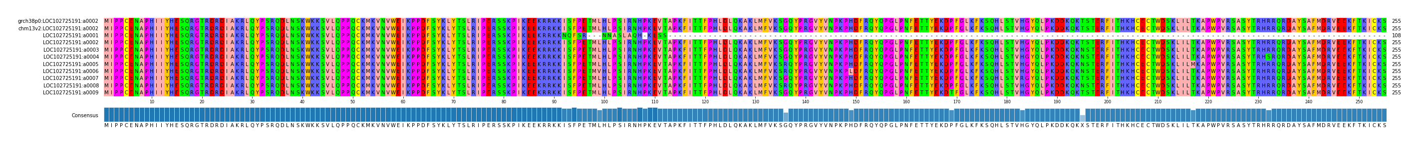 Multiple Alignments (by translate haplotype frequency)