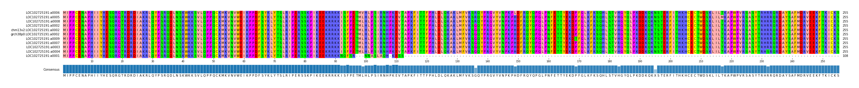Multiple Alignments (by translate haplotype similarity)