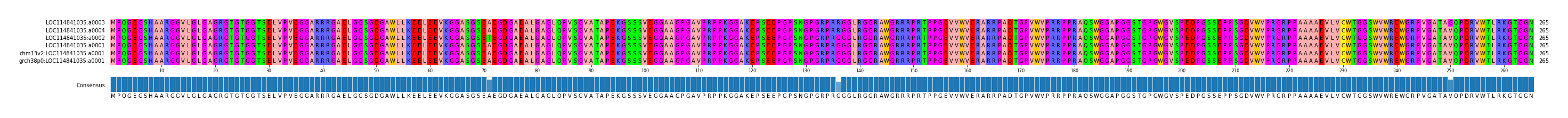 Multiple Alignments (by translate haplotype similarity)