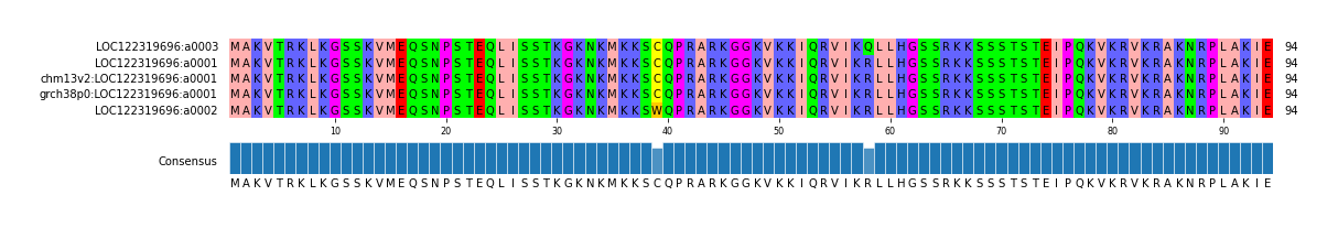 Multiple Alignments (by translate haplotype similarity)