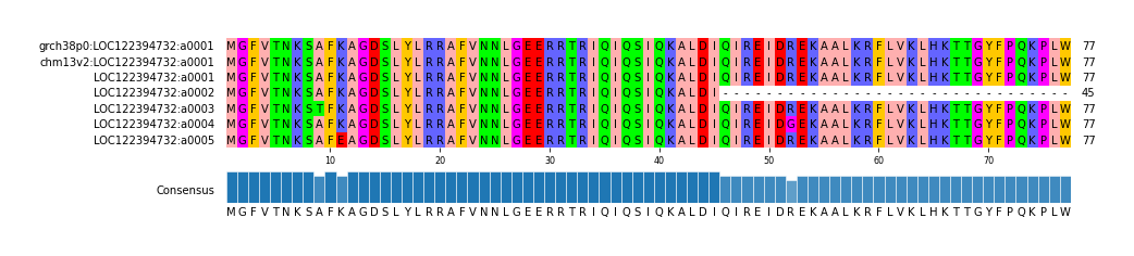Multiple Alignments (by translate haplotype frequency)