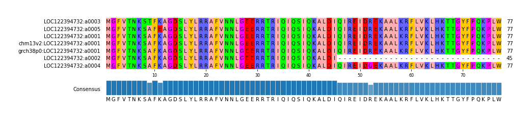 Multiple Alignments (by translate haplotype similarity)
