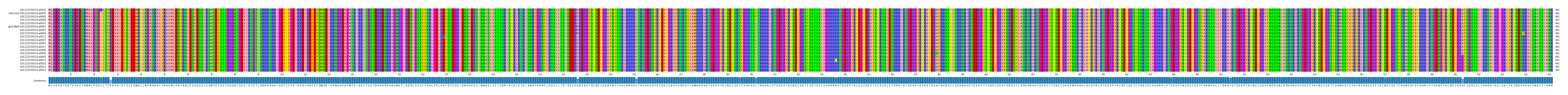 Multiple Alignments (by translate haplotype similarity)