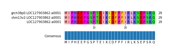 Multiple Alignments (by translate haplotype similarity)